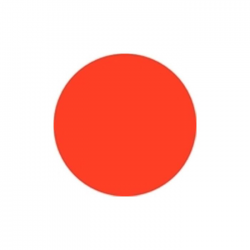 Vopsea acrylica Master Nails 12ml-36-Portocaliu Neon